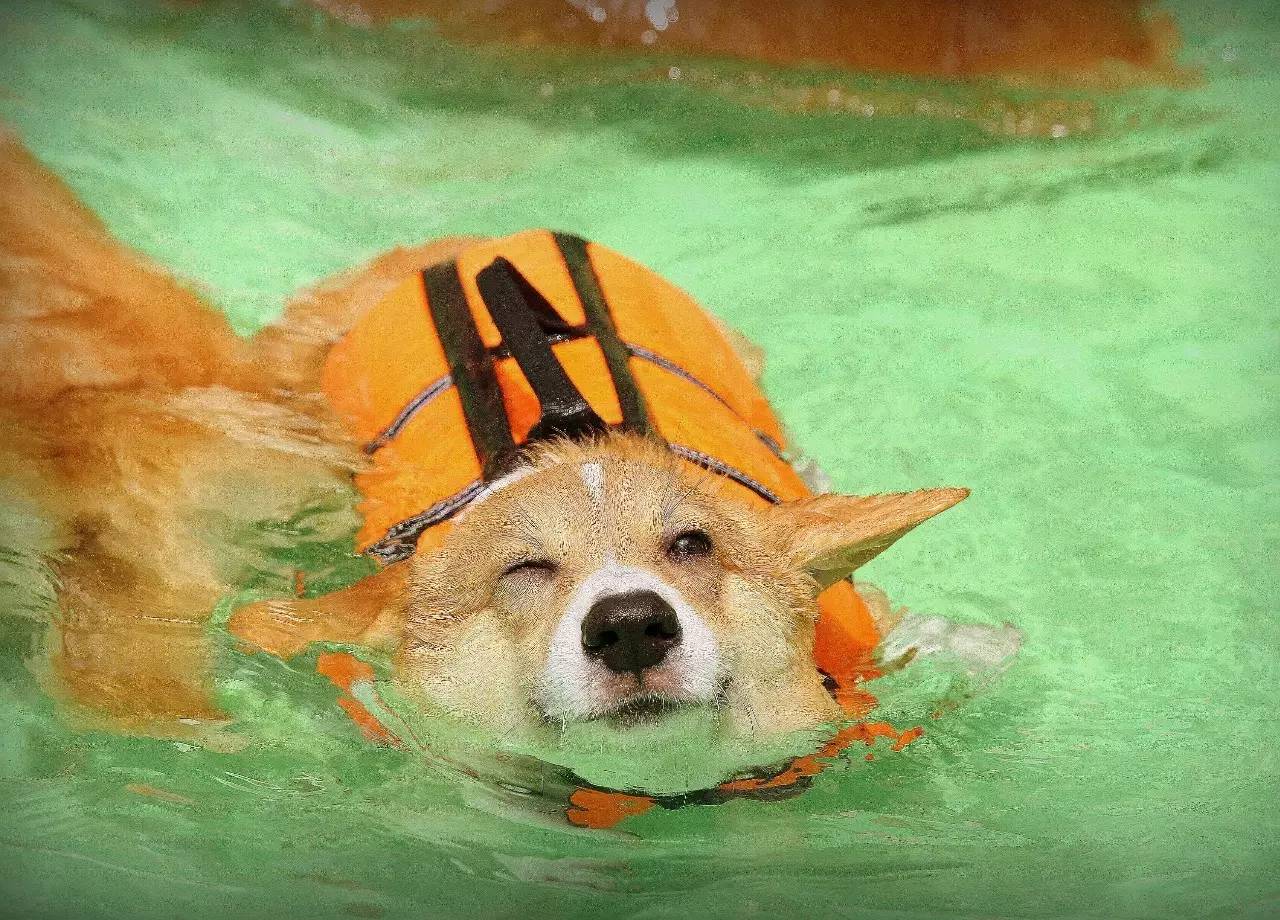 tyc7111cc太阳成集团