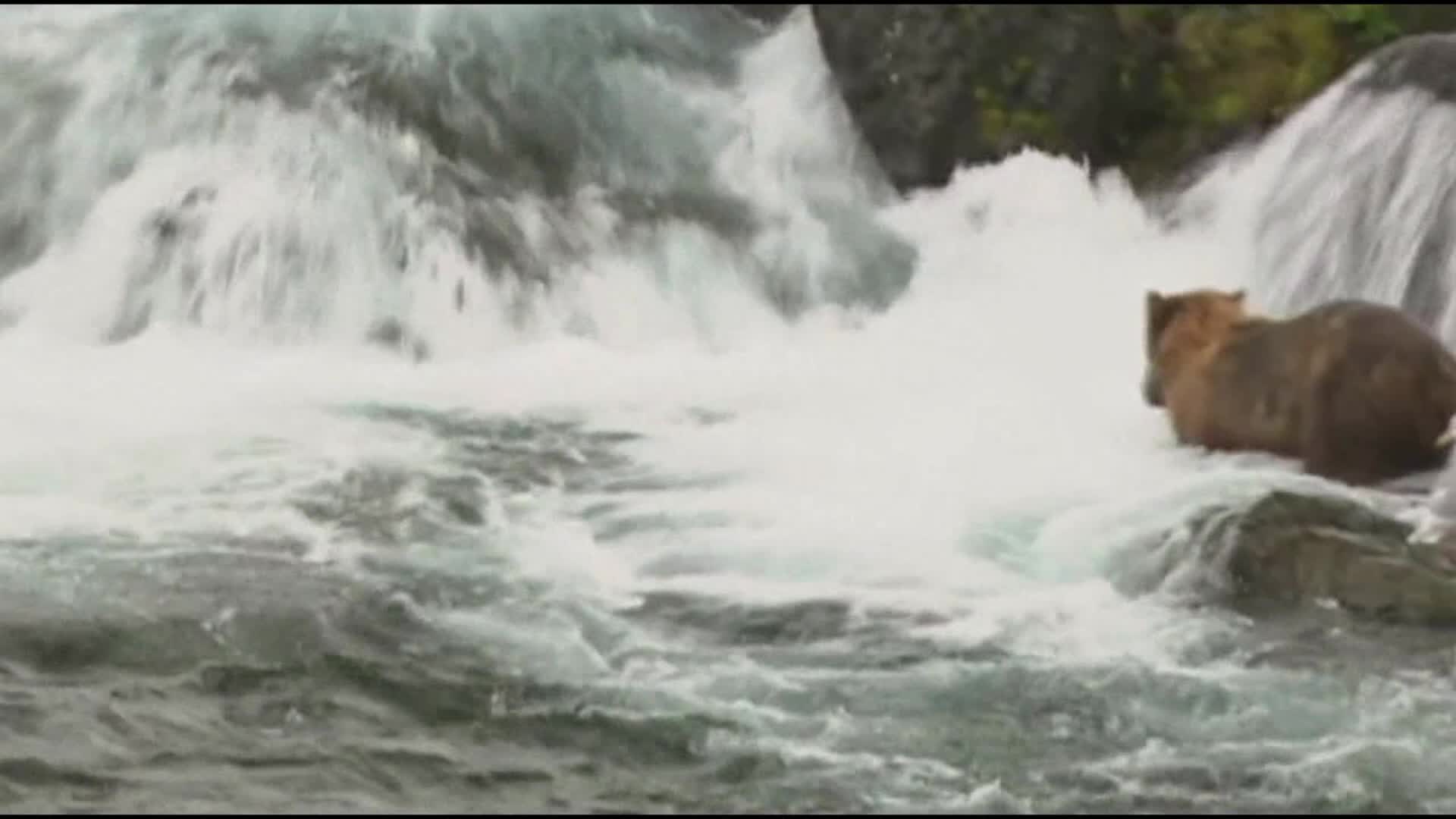 太阳成tyc7111cc官网