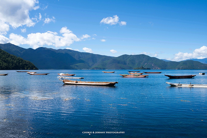 tyc7111cc太阳成集团