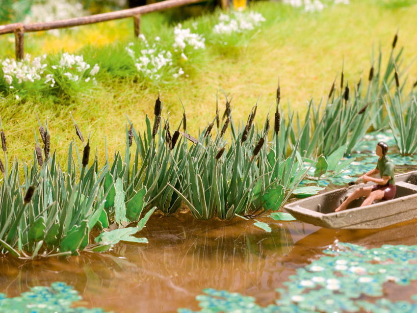 海南新外贸项目获政府财政支持:太阳成tyc7111cc官网(图2) 太阳成tyc7111cc官网