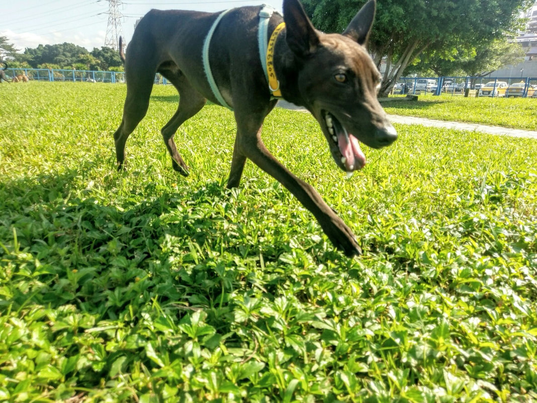 tyc7111cc太阳成集团