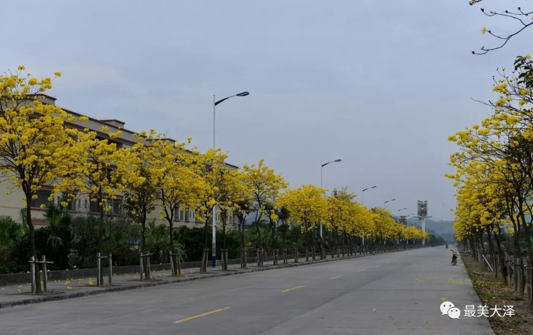 太阳成tyc7111cc官网