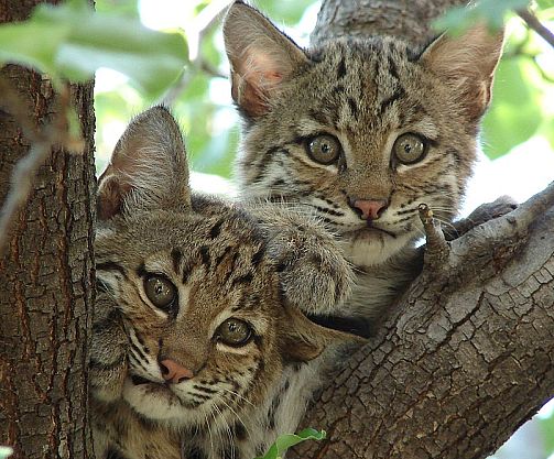 tyc7111cc太阳成集团